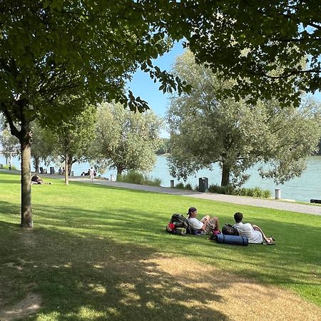 Netradicny Apartman V Centre براتسيلافا المظهر الخارجي الصورة